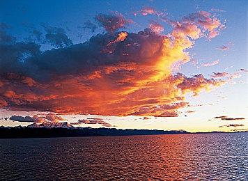 威世智和孩之宝总裁宣布离职 继任者正在寻找中