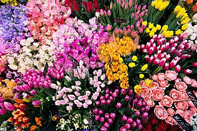 《风雨来记4》概览预告片公布 7月8日登陆PS4＆NS